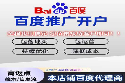 SEM广告投放策略：成功案例解析